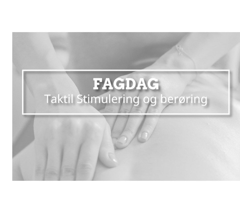 Fagdager i \u00c5lesund