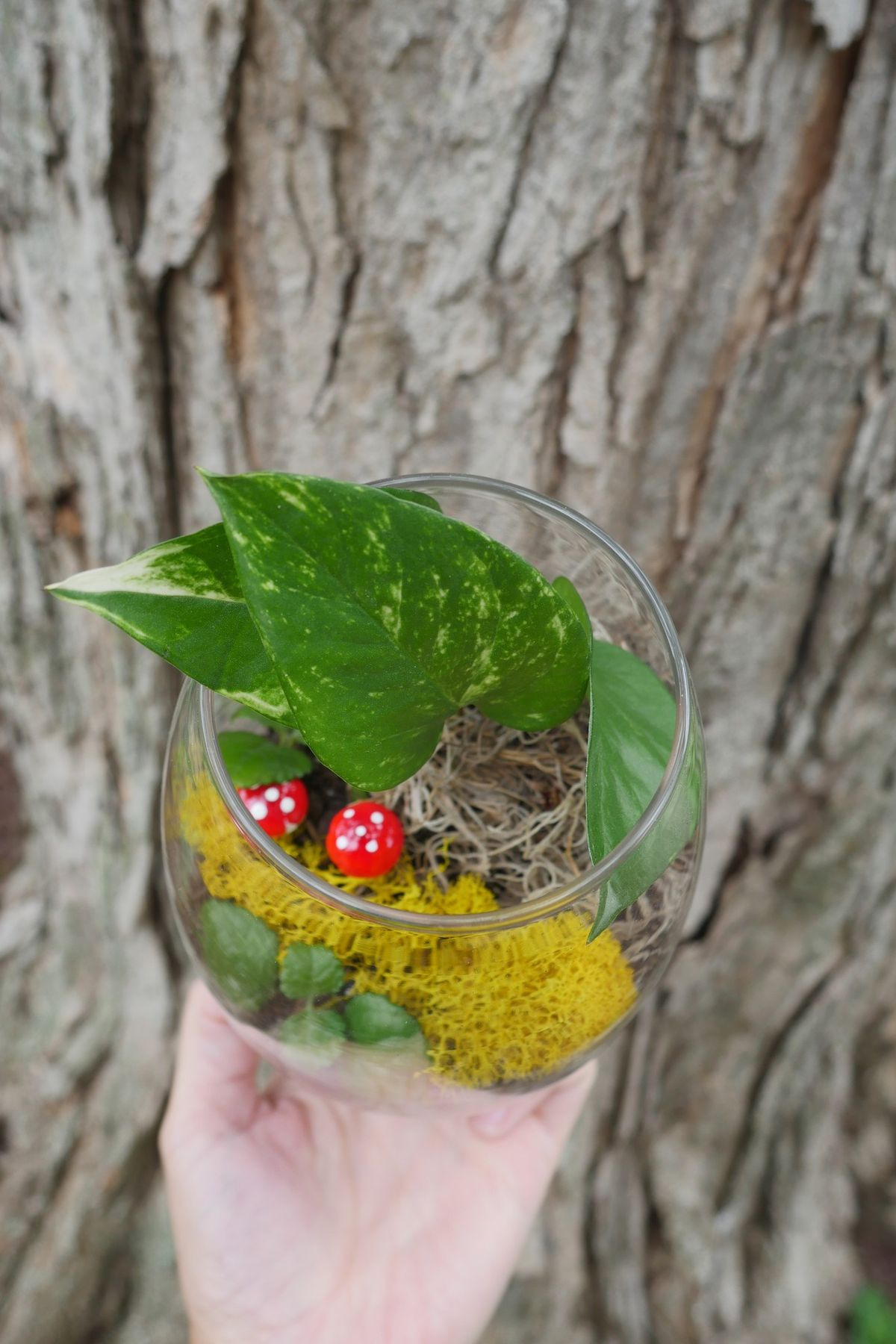 July-Crafting With the Council: Terrariums