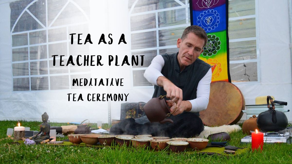 Tea as a Teacher Plant - A Cha Dao Meditative Tea Ceremony by Steve Kokker