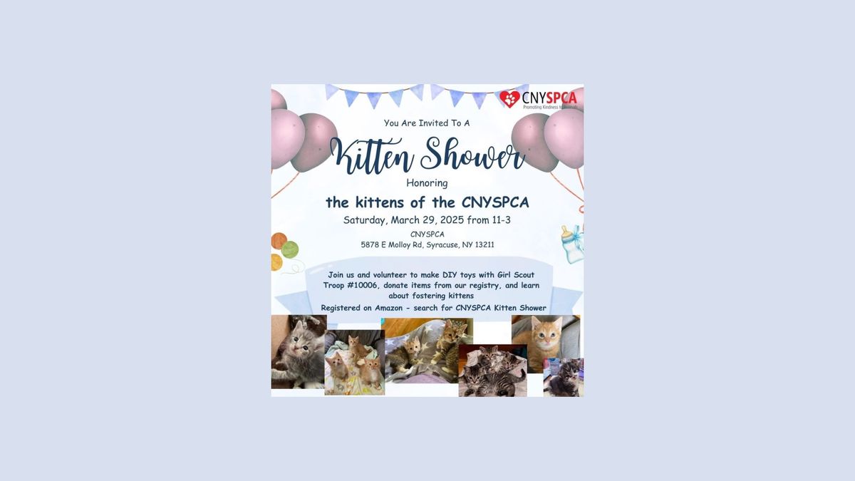 KITTEN SHOWER