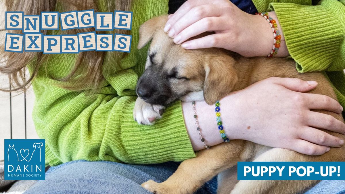 SOLD OUT: Snuggle Express: A Puppy Pop Up