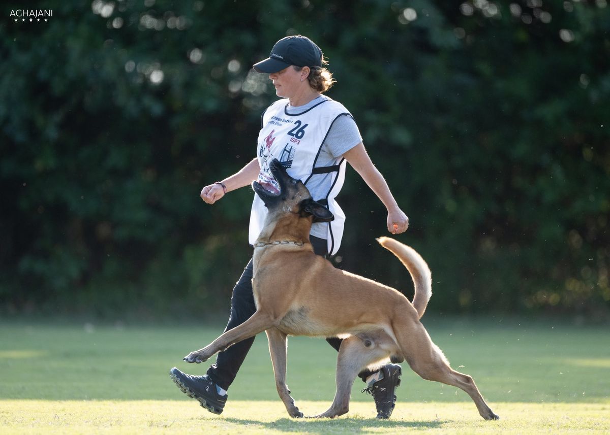 Michaela Bouzkova Obedience Workshop