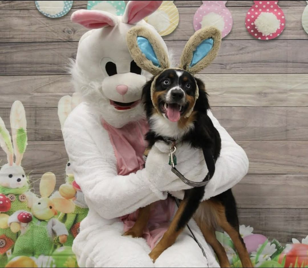 Photo's with the Easter Bunny