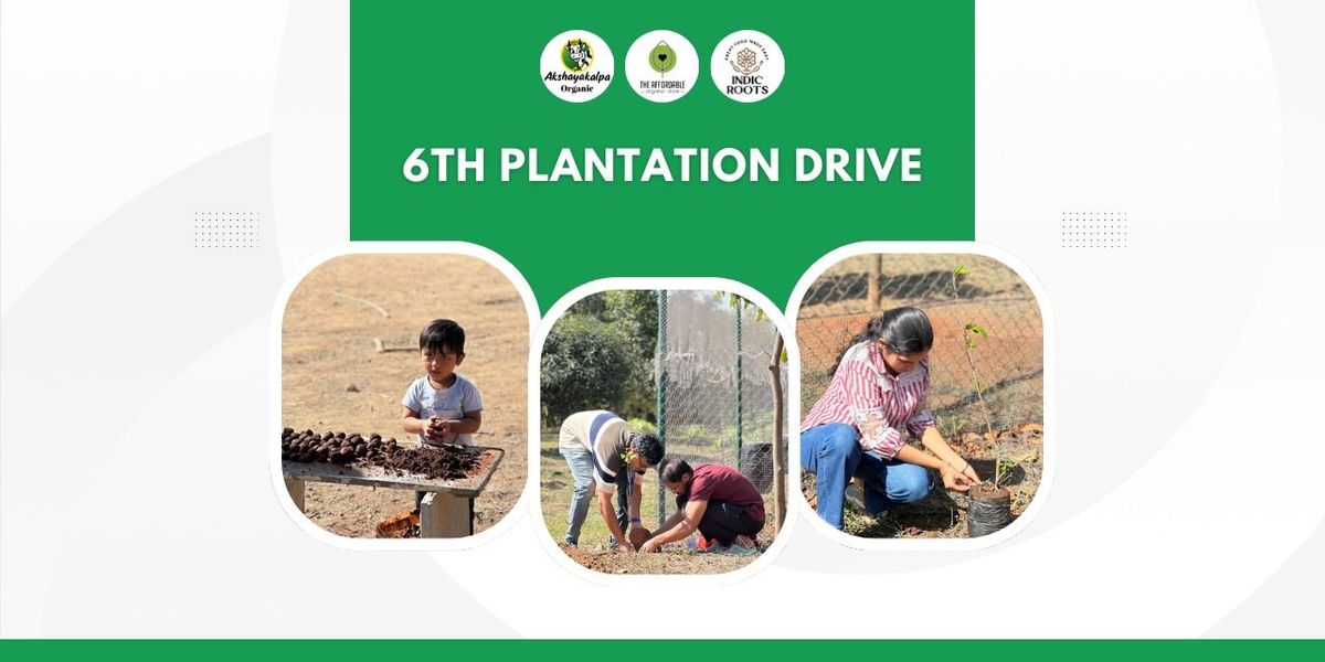 Tree Plantation Drive-The Affordable Organic Store