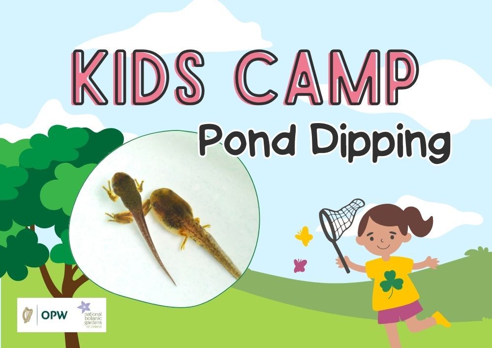 Kids Camp: Pond Dipping 