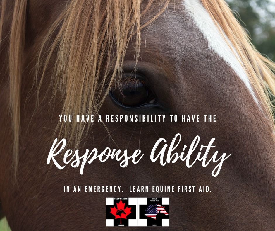 Equine Health and Emergency First Aid