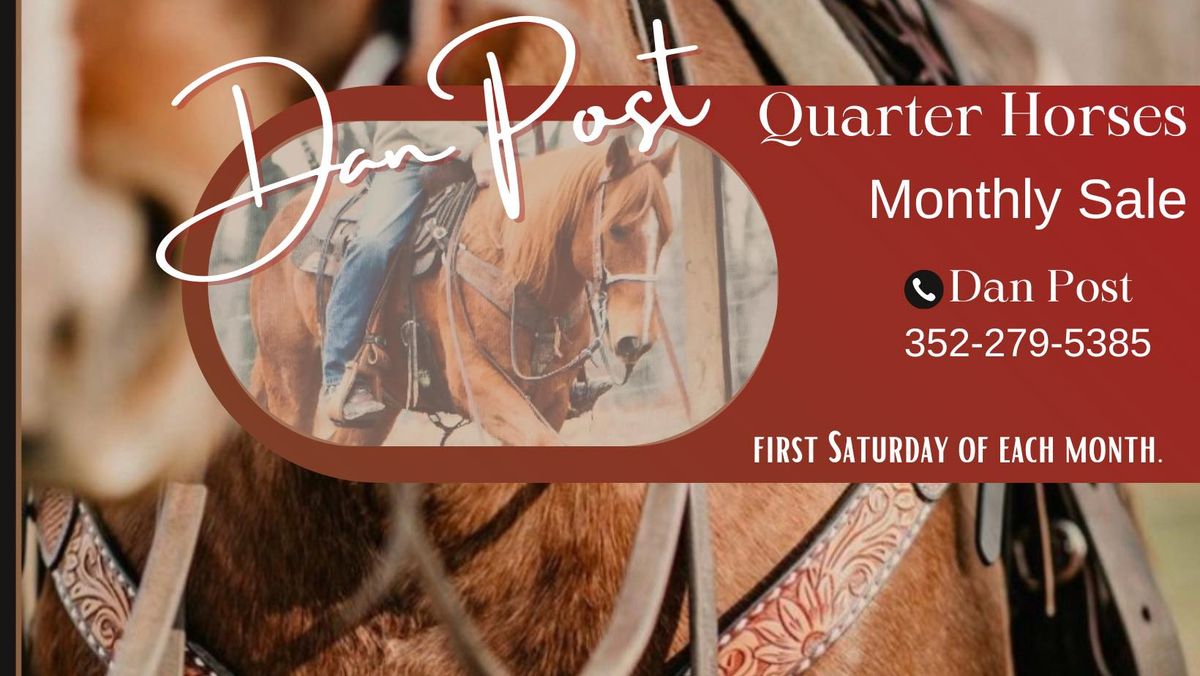 January 4th Horse Sale!