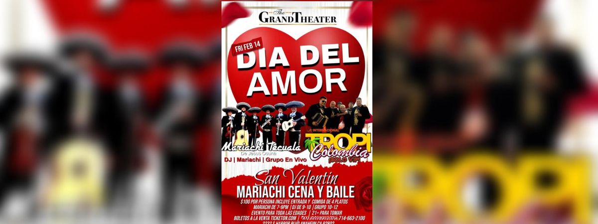 BAILE DE SAN VALENTIN CON CENA SHOW 