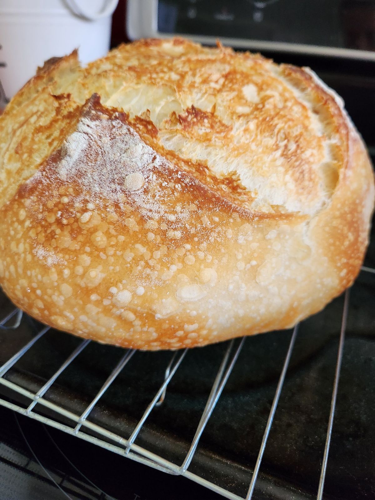 Sourdough Bread Making Class- long course, January 25, 9 am