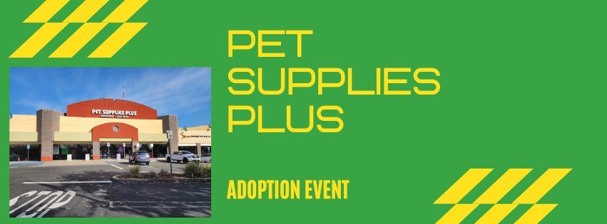 Pet Supplies Plus Adoption Event 
