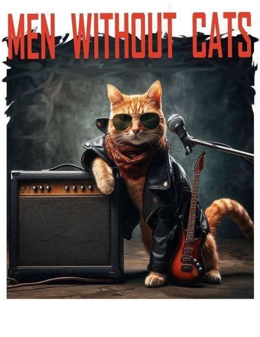 Men Without Cats