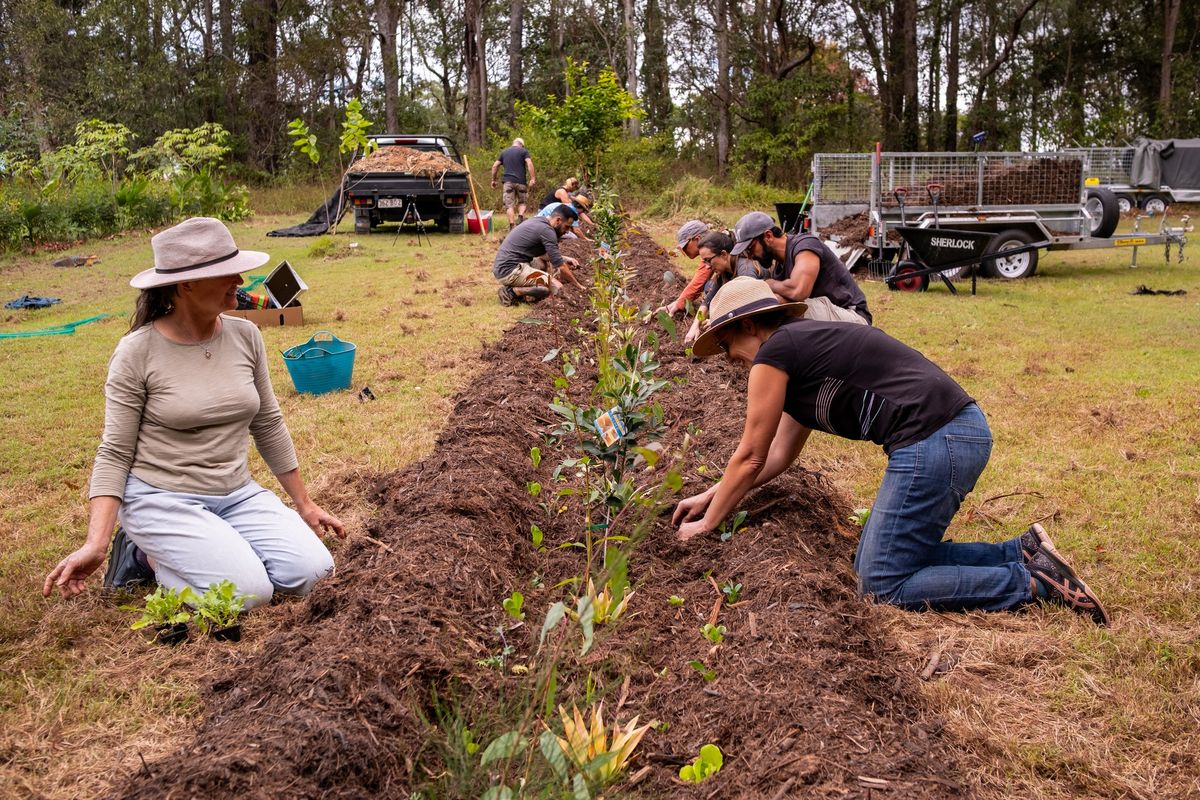 Learn to Grow a Food Forest Workshop at Black Belt Farm - Tallebudgera Valley, QLD