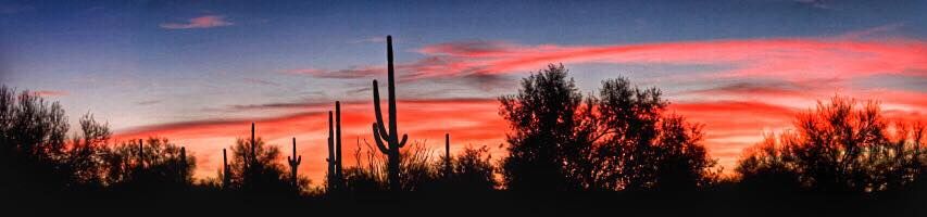 Desert Archers October 3D Fun Shoot, Tucson Mountain Park Archery Range ...