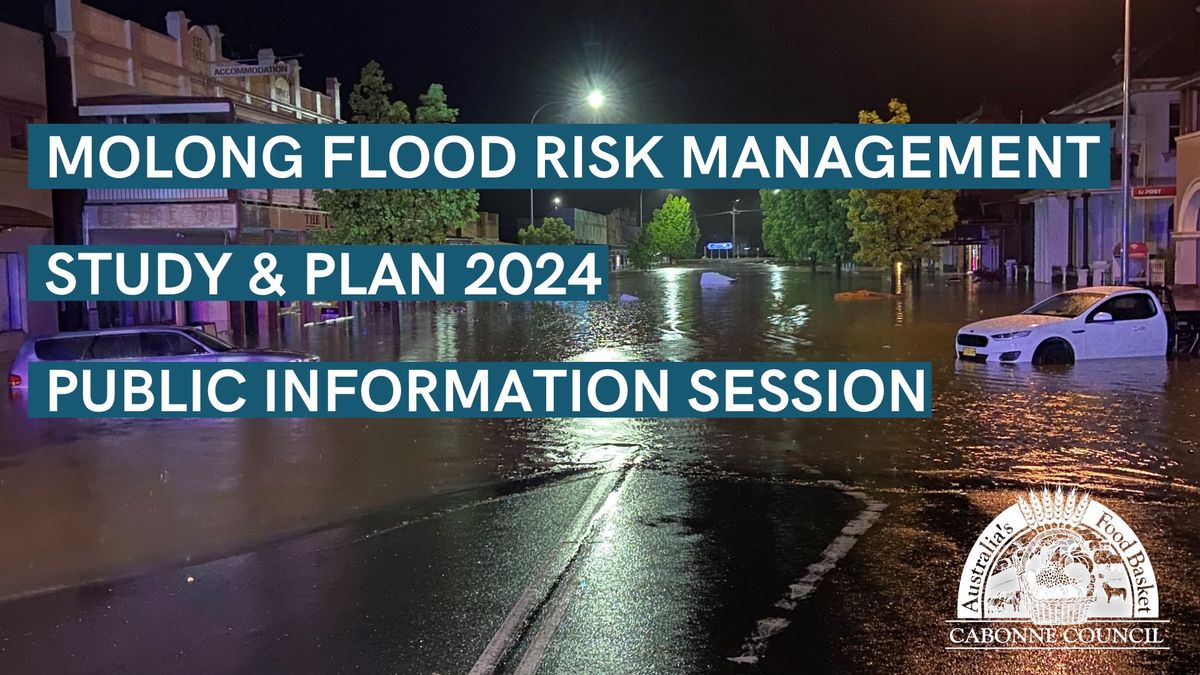 Molong Flood Risk Management Study and Plan 2024 - Public Information Session