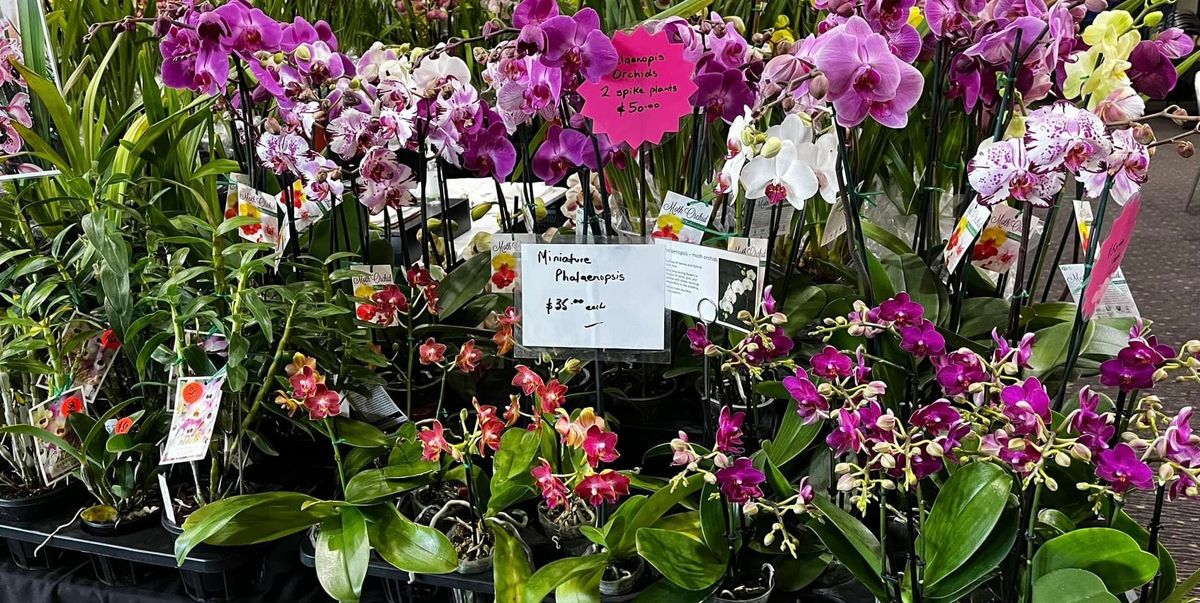 Spring Orchid and Flower Show