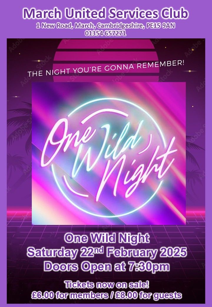 One Wild Night - The Ultimate Party Band