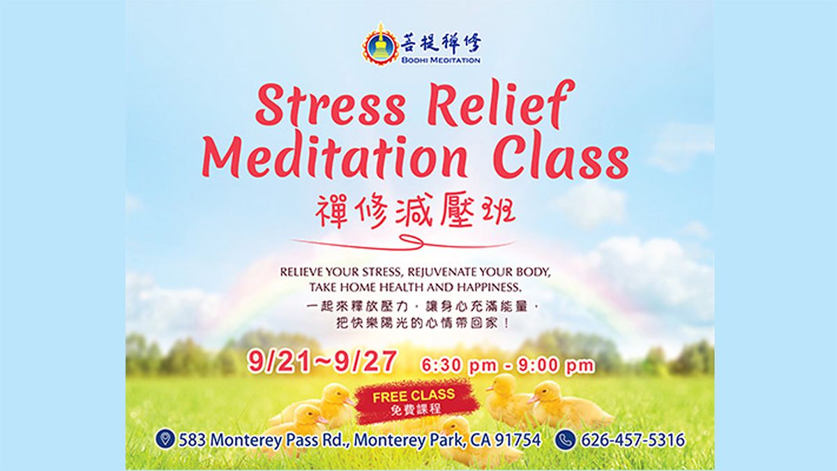 Bodhi Meditation Stress Relief Retreat