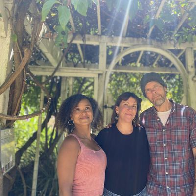 Luminous Threshold Collective