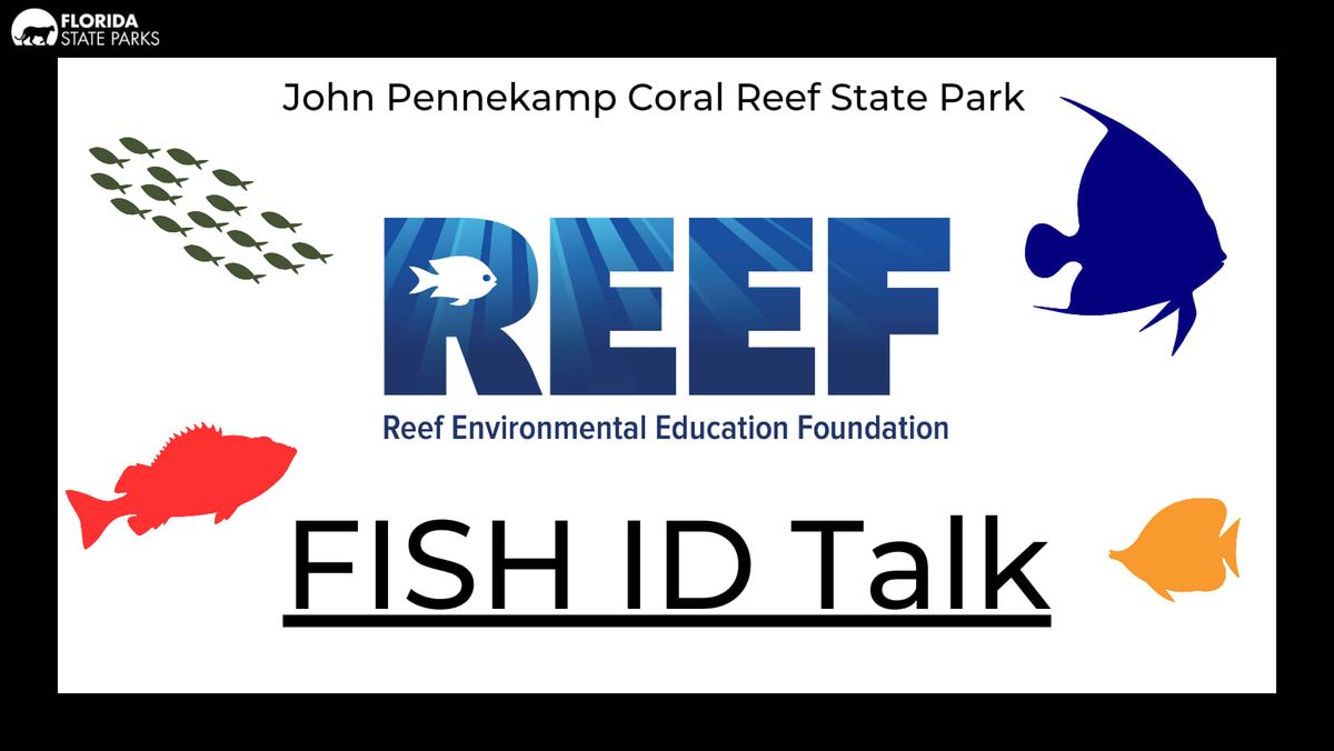 REEF Fish ID Talk