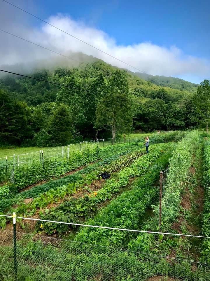 Farmer Field Day: Building a Small-Scale Family Farm One Year at a Time