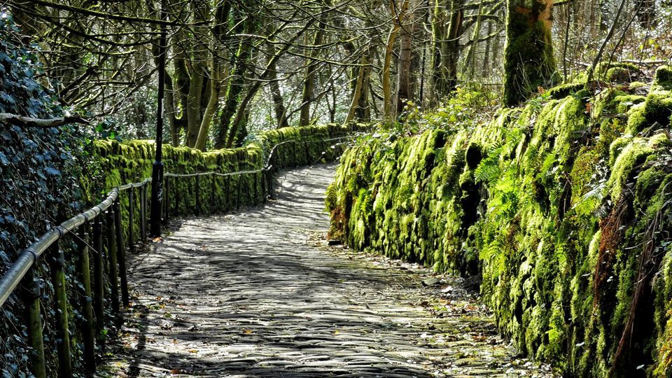 Current Climate: A Stride Upstream - Guided Walk with Paul Knights