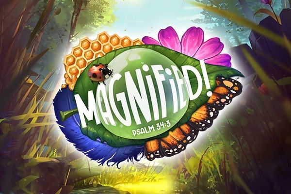 Enon VBS - Magnified 