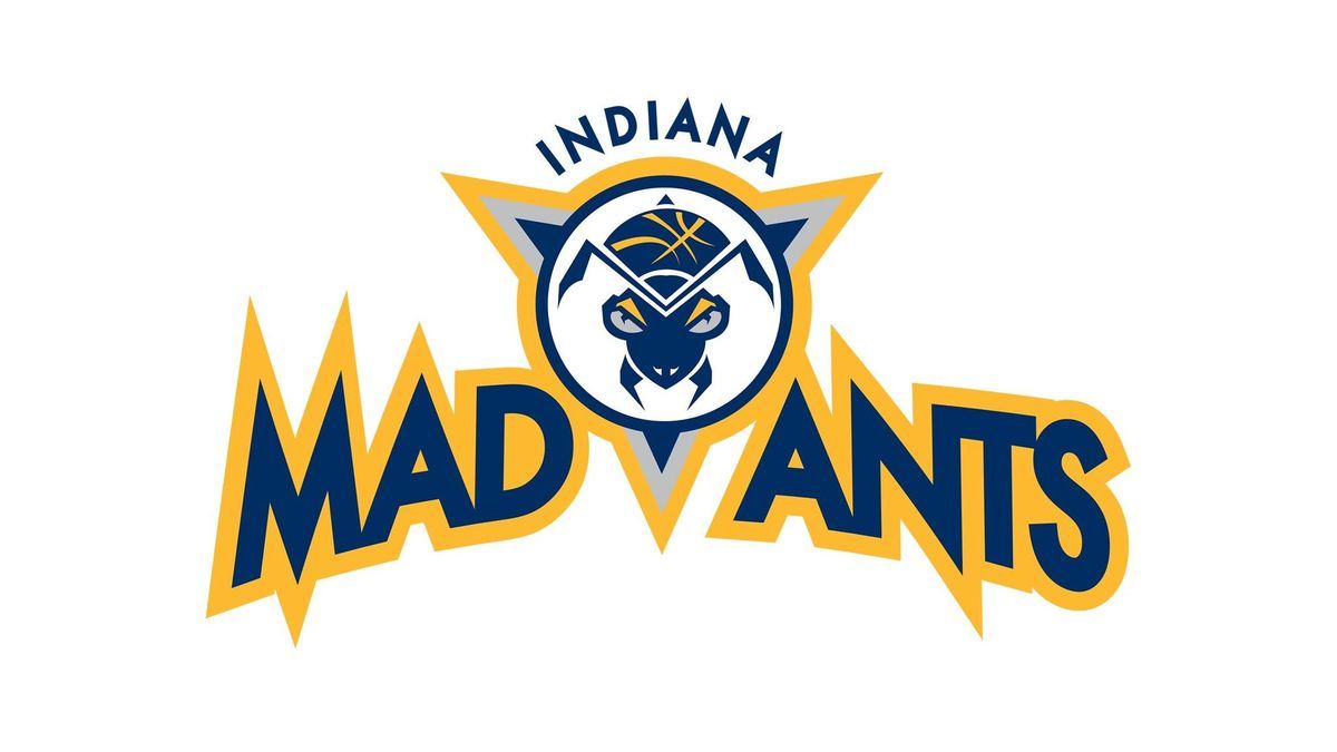 Long Island Nets at Indiana Mad Ants