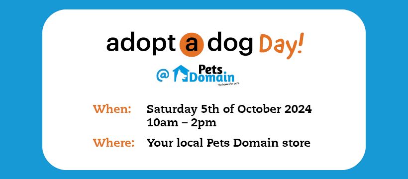 Adopt-A-Dog Day @ Pets Domain | Goulburn Mulwaree Animal Shelter