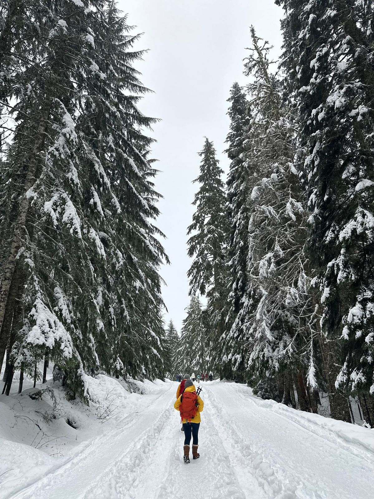 NSHC & US Forest Service-partnered Guided Grand Discovery Snowshoe Tour