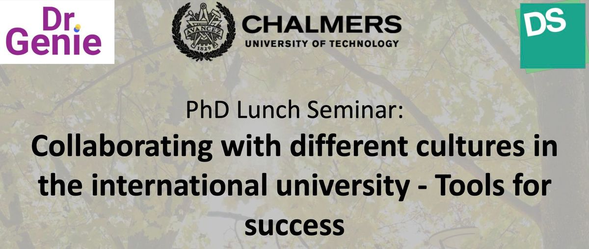 PhD Lunch Seminar: Collaborating with different cultures in the international university