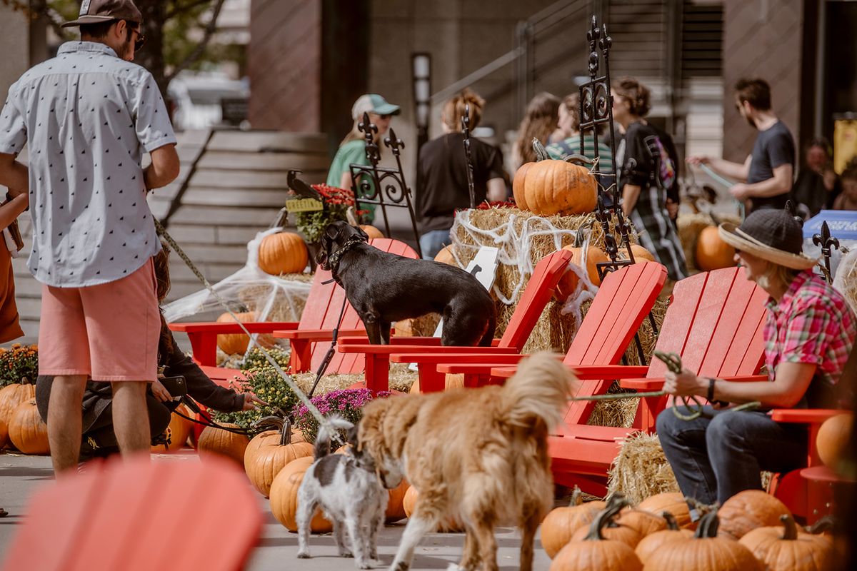 BARKtober Fest