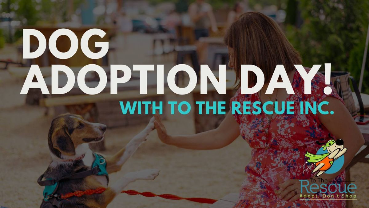 Pet Adoption Day with To The Rescue Inc.!