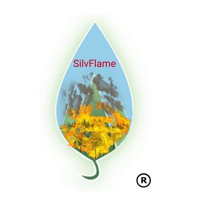 Silvflame Ltd Jon Silvester