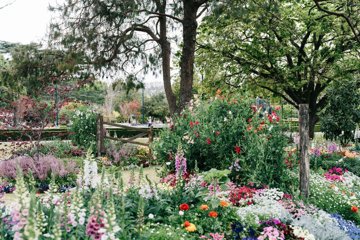 Toowoomba Carnival of Flowers, September Blue Bus Tour