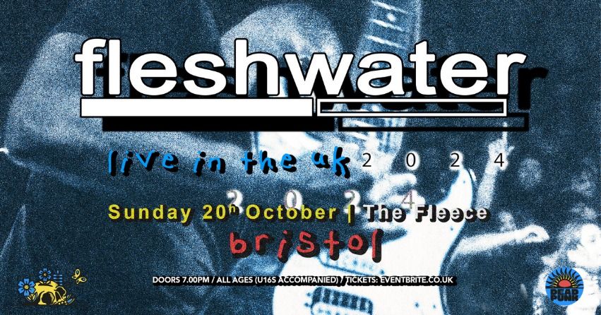 Fleshwater at The Fleece, Bristol