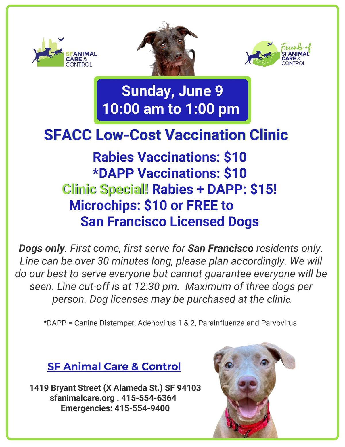 Low-Cost Vaccination and Microchip Clinic for Dogs
