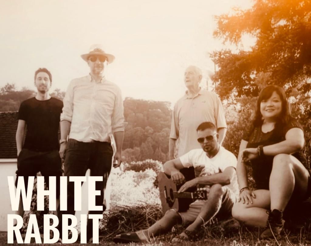 White Rabbit Live 