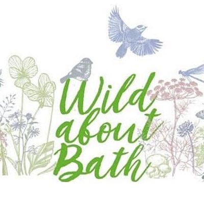 Wild About Bath