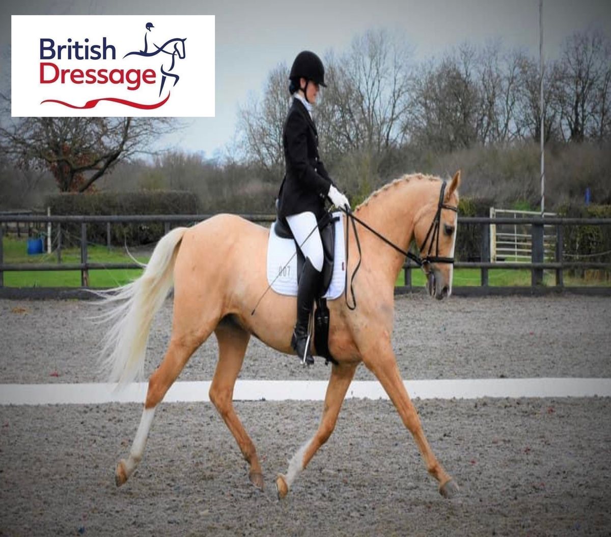 British Dressage Quest - Hargate Equestrian 