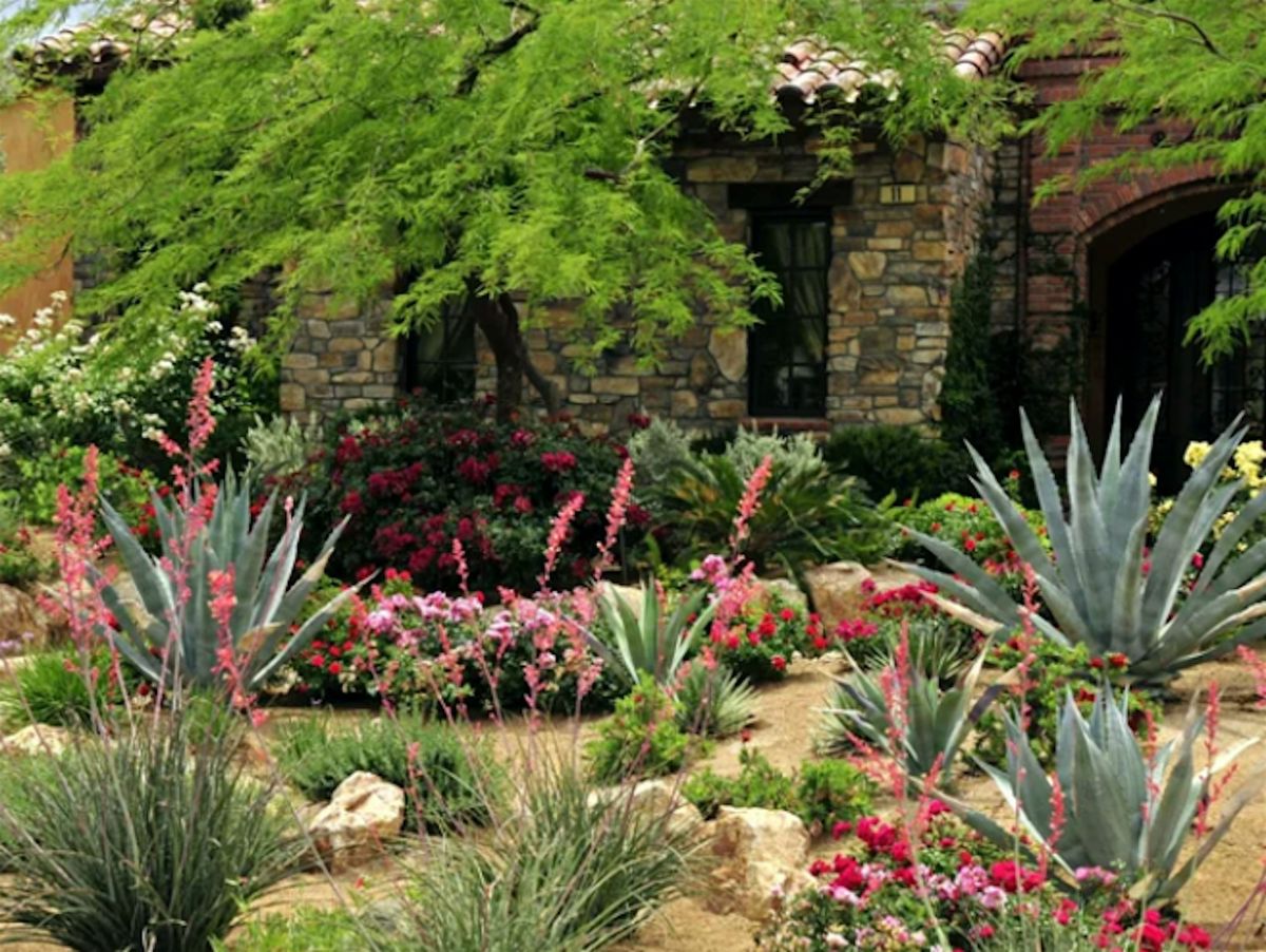 Sticky Business with Cacti