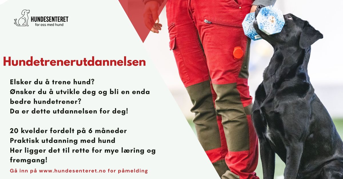 Hundetrenerutdannelsen (ledige plasser)