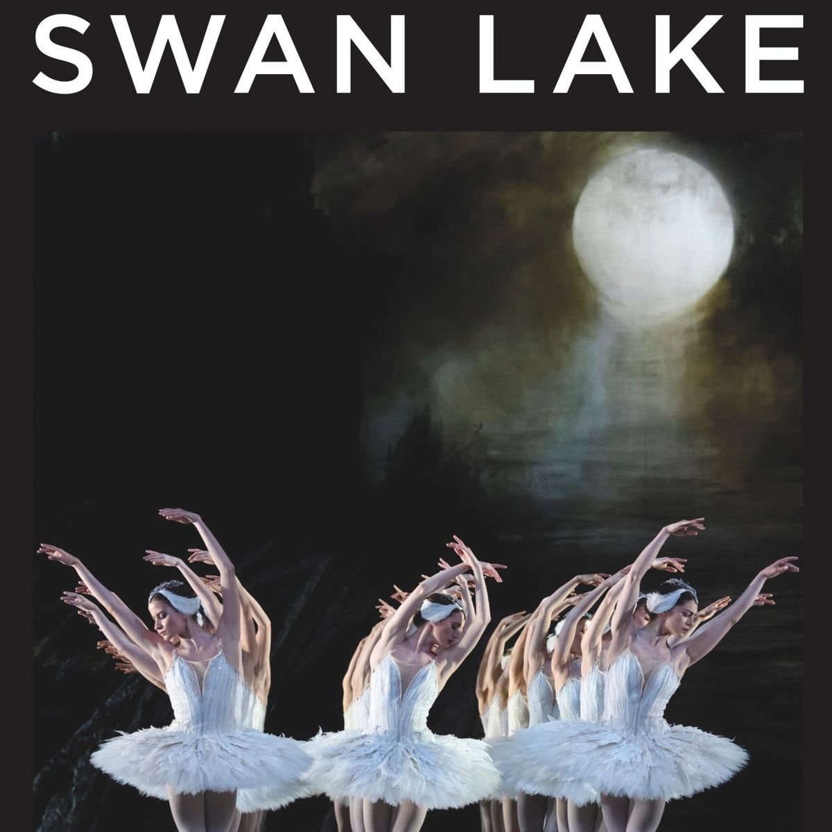 SWAN LAKE