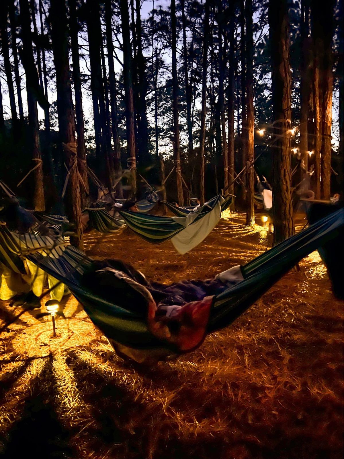 7\/6 Twilight Meditation and Sound Bath in the Pine Forest Hammocks 