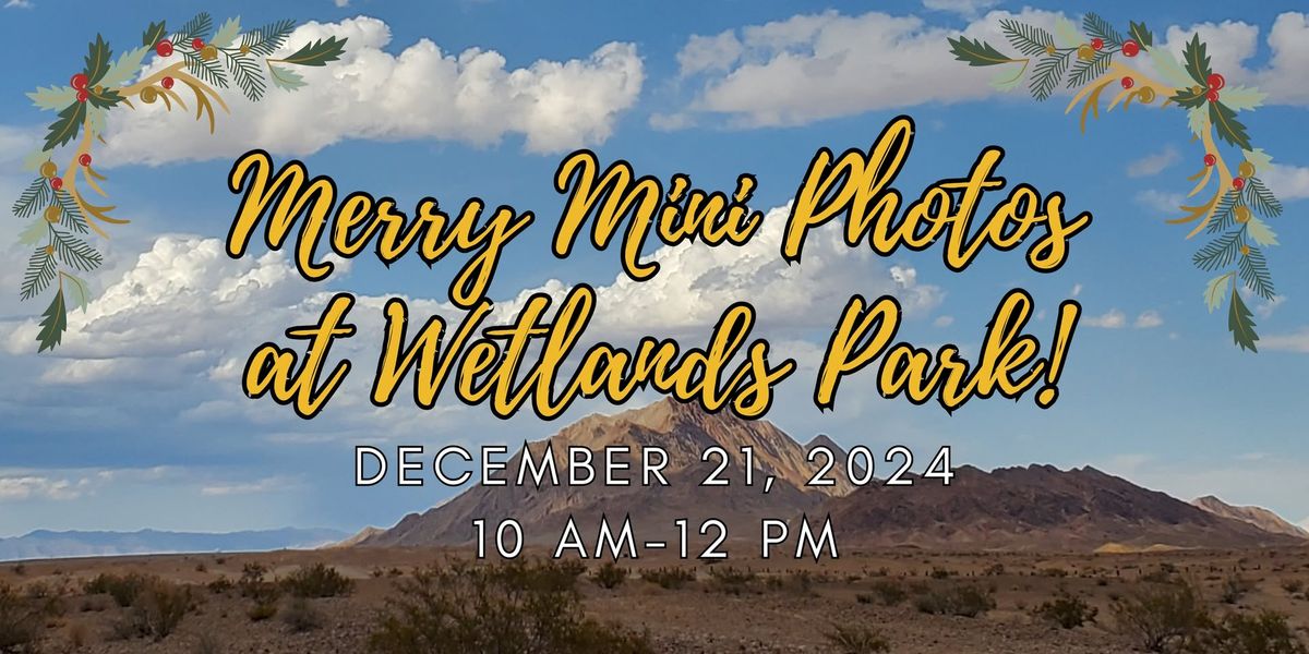 Merry Mini Photos