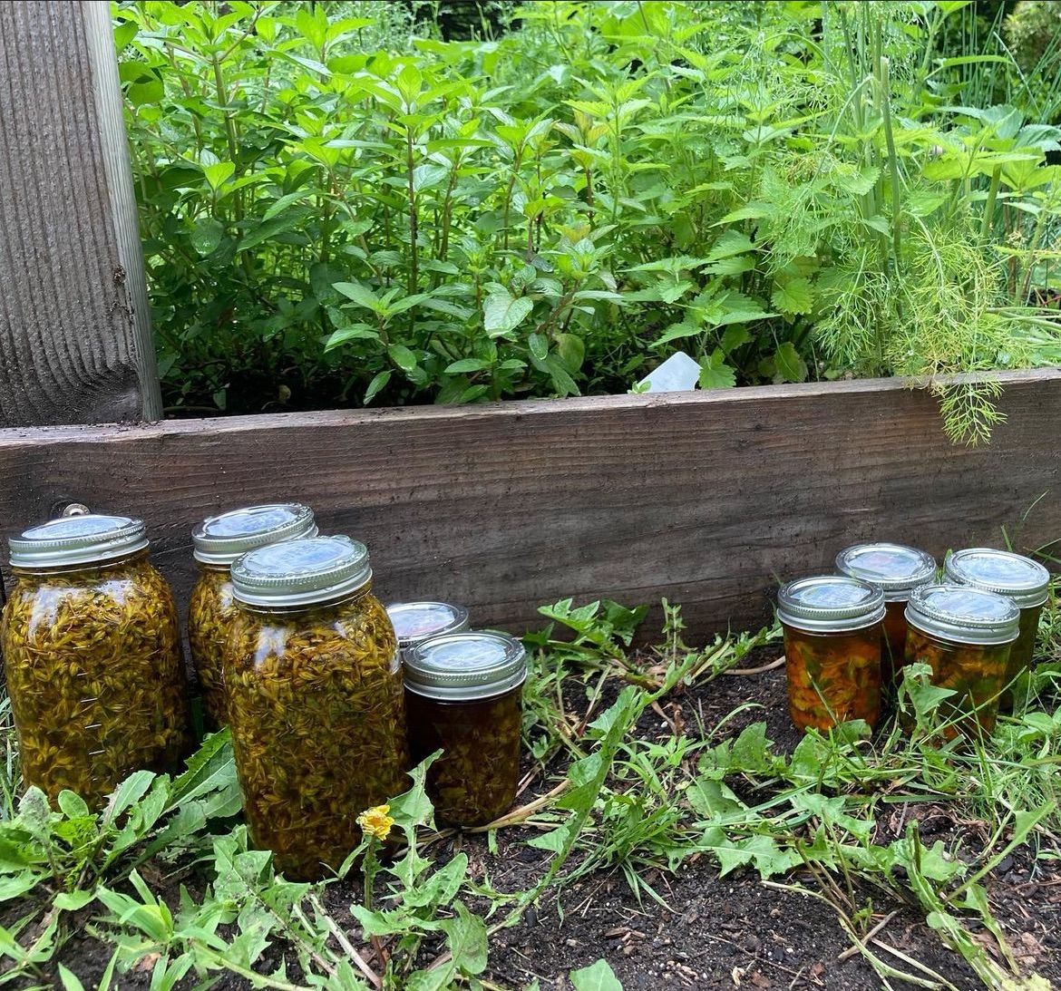 Herbs for Medicine and Magick: Making Extracts