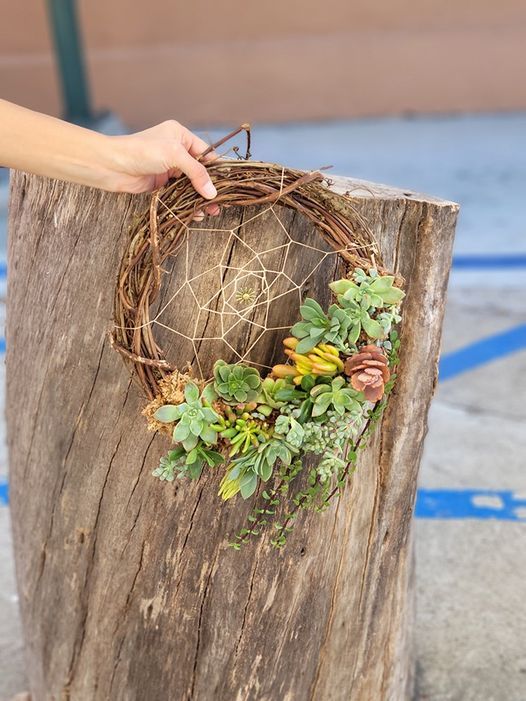 Succulent Dream Catchers