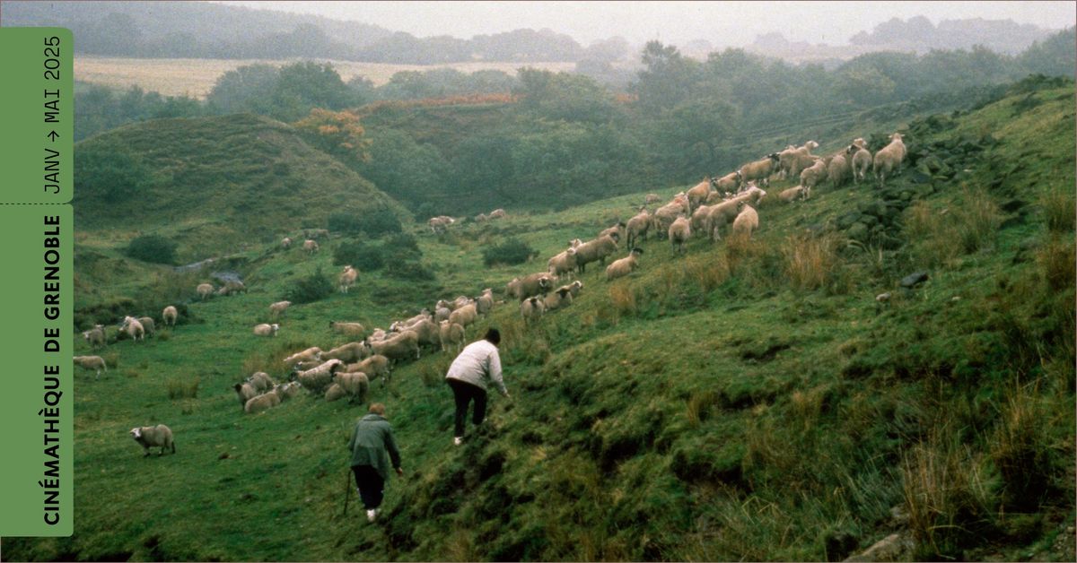 Projection en 35 mm \u2022 Raining stones de Ken Loach