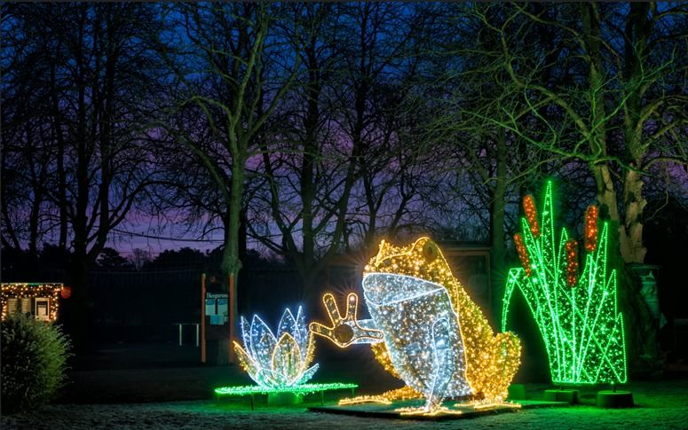  Lichterwelt im Stadtpark Magdeburg 