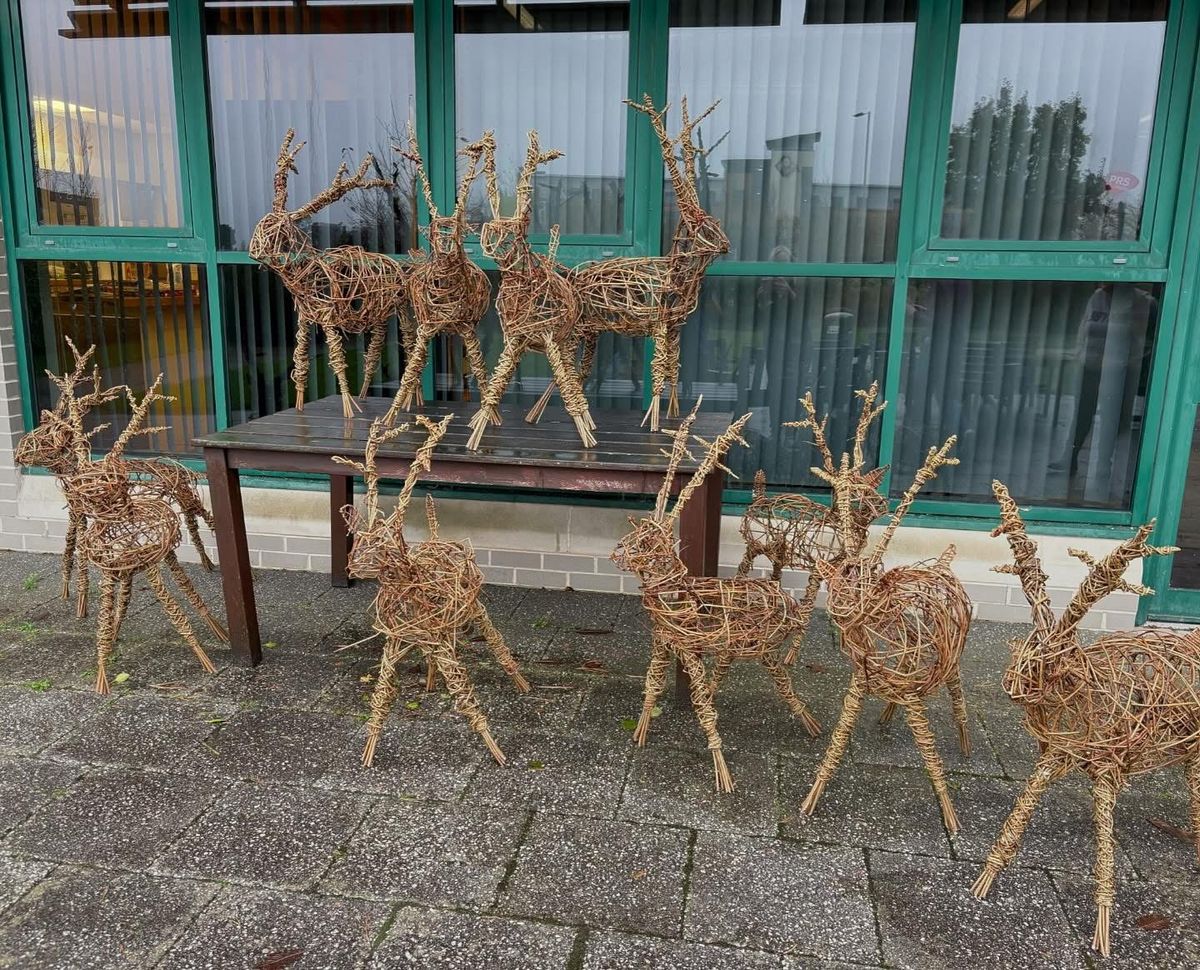 Willow Stag Sculpture Workshop