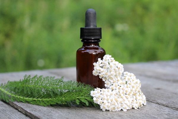 Medicine Making Series: Herbal Extracts (Tinctures)